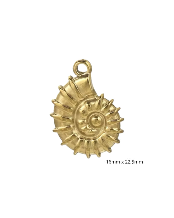Ammonite