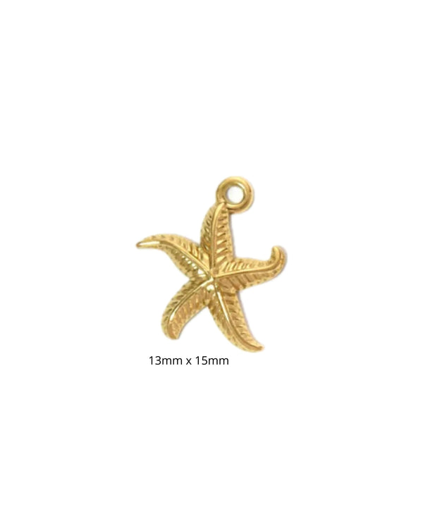Etoile de mer 3D