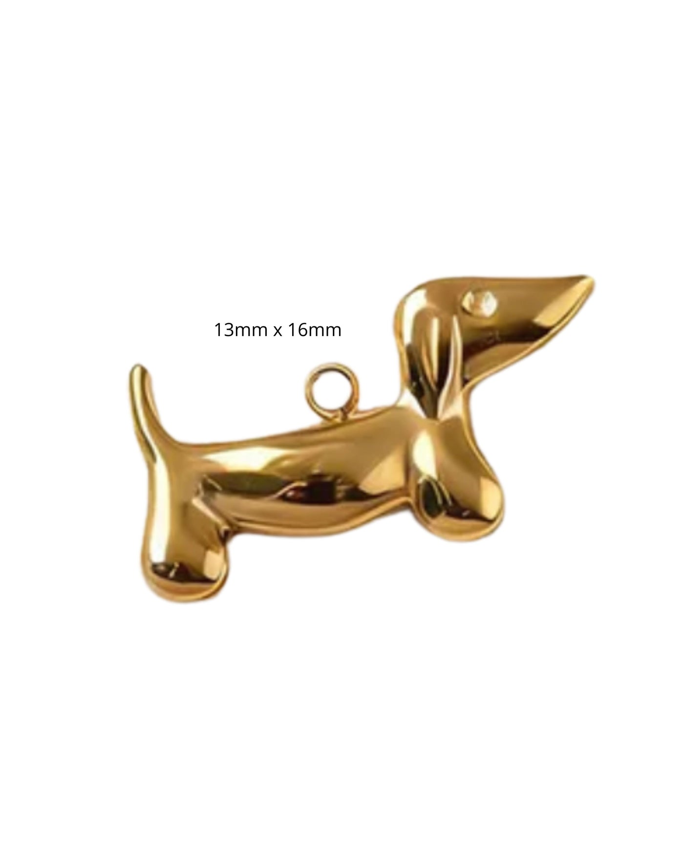 Chien