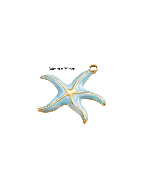Etoile de Mer Bleue