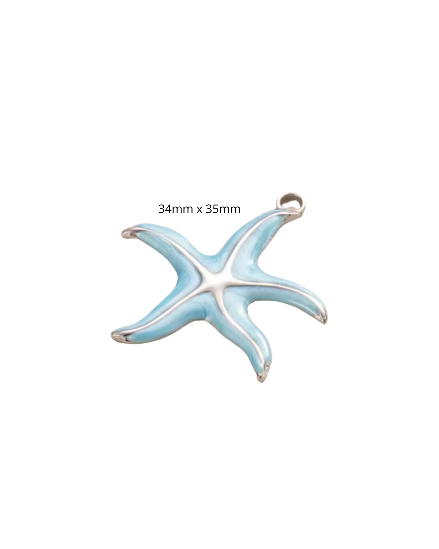 Etoile de Mer Bleue