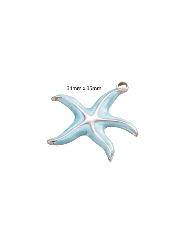 Etoile de Mer Bleue
