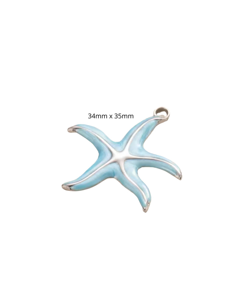 Etoile de Mer Bleue