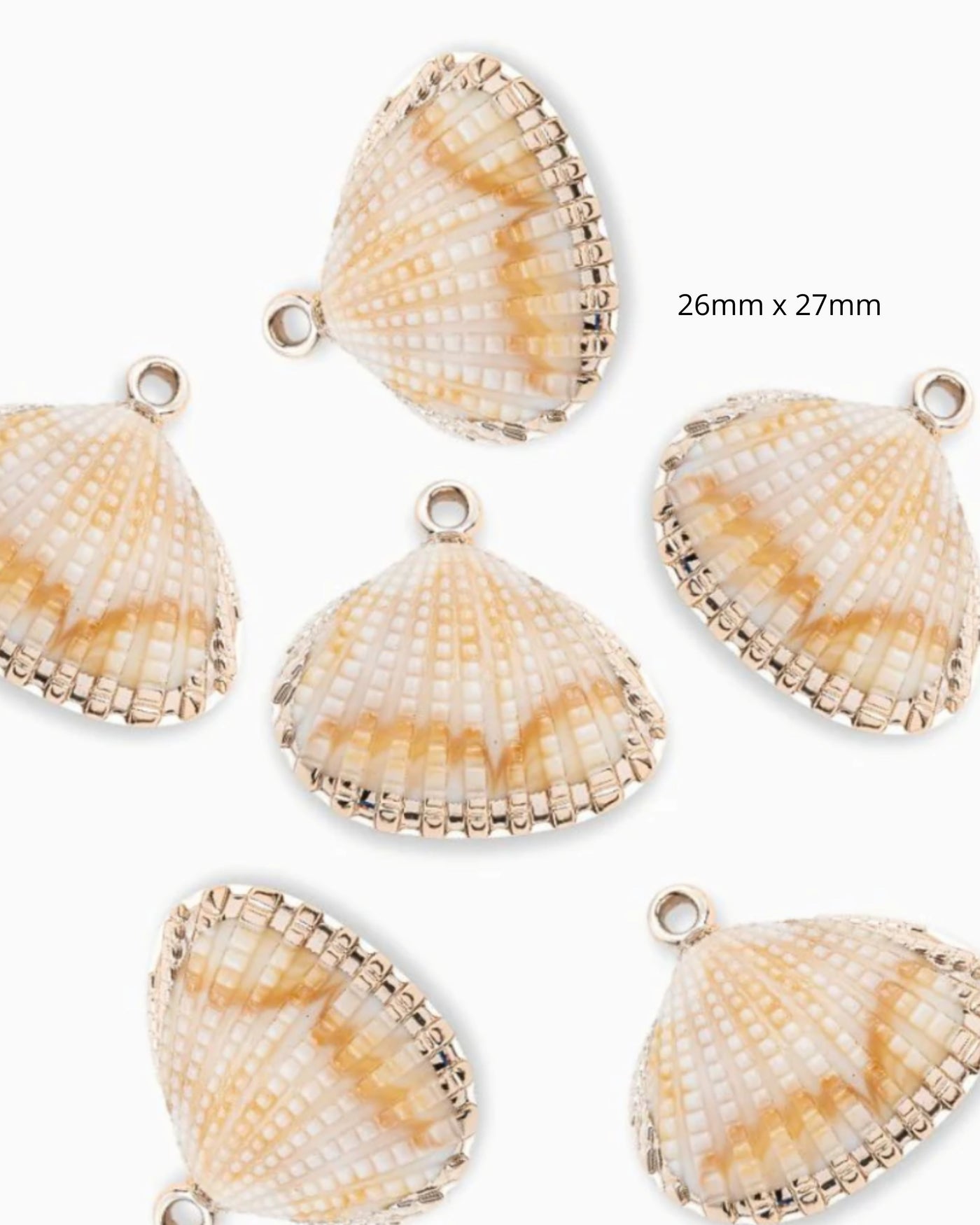 Coquillage