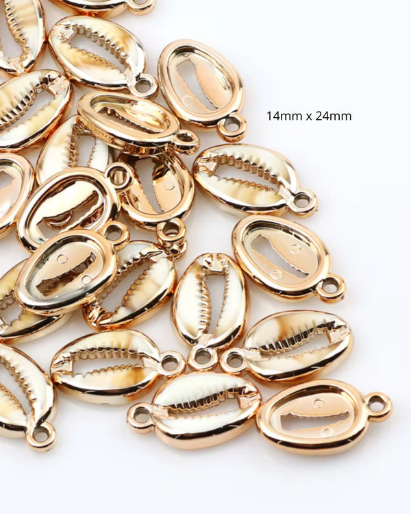 Coquillage Cauri