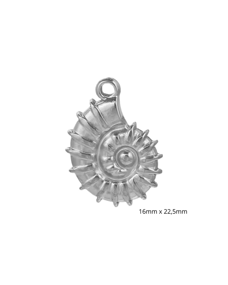 Ammonite