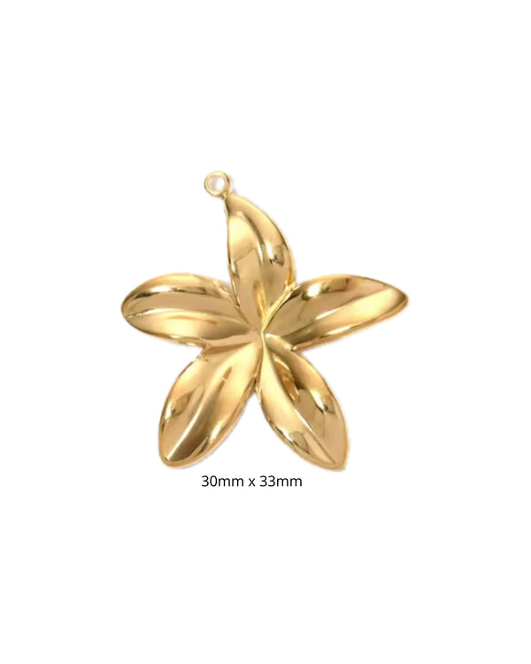 Fleur Frangipanier