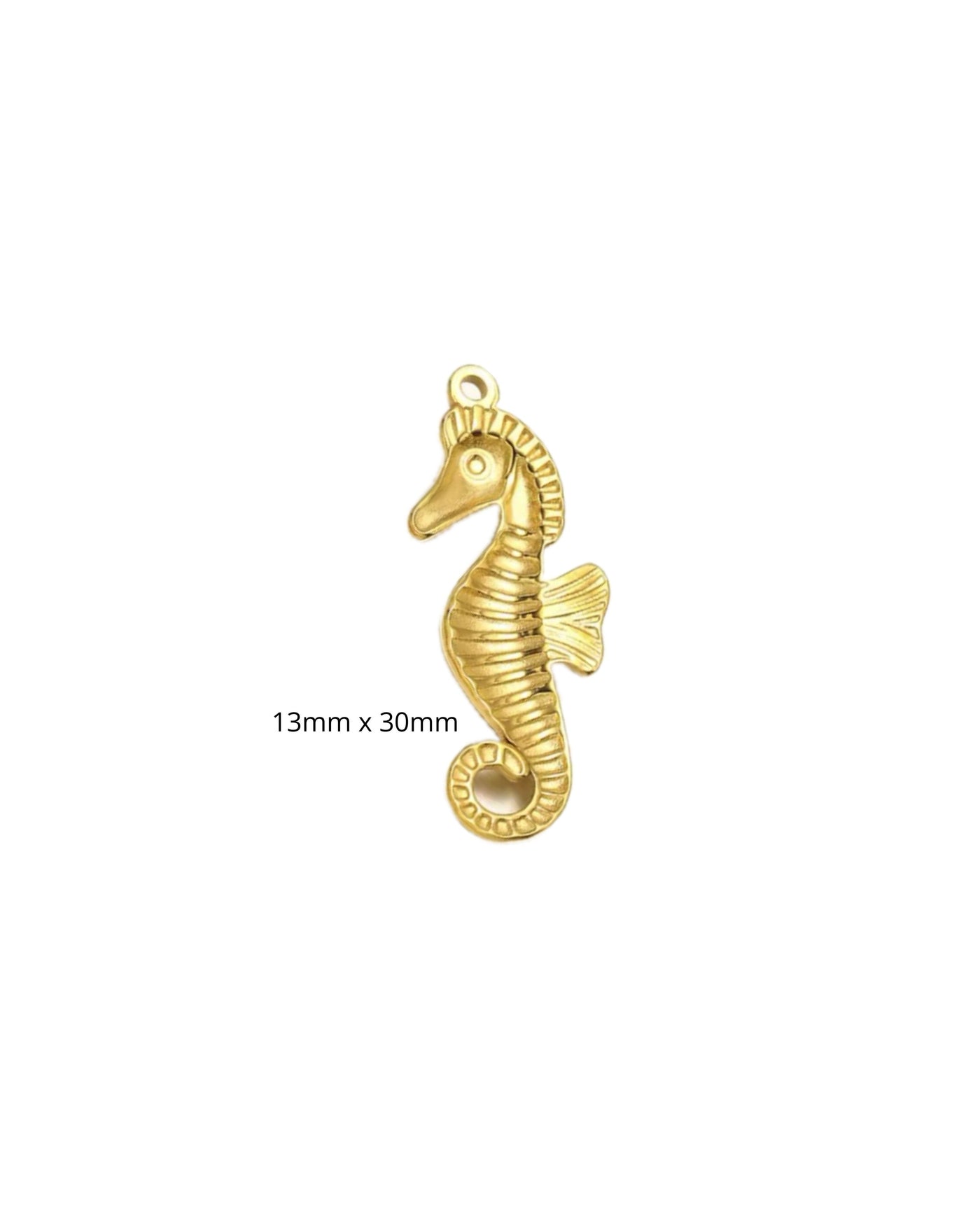 Hippocampe