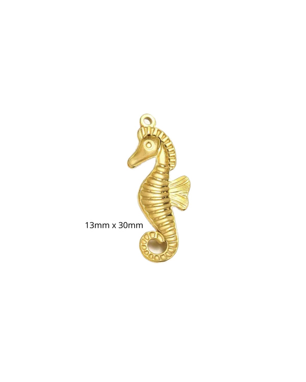 Hippocampe