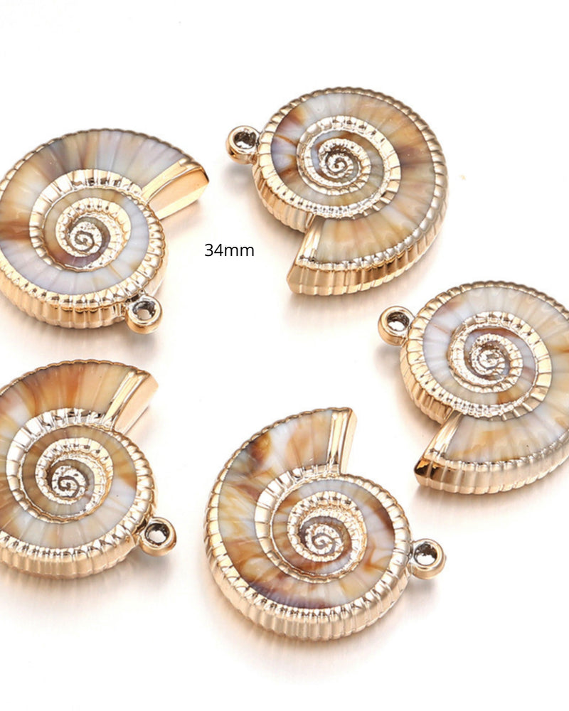 Ammonite