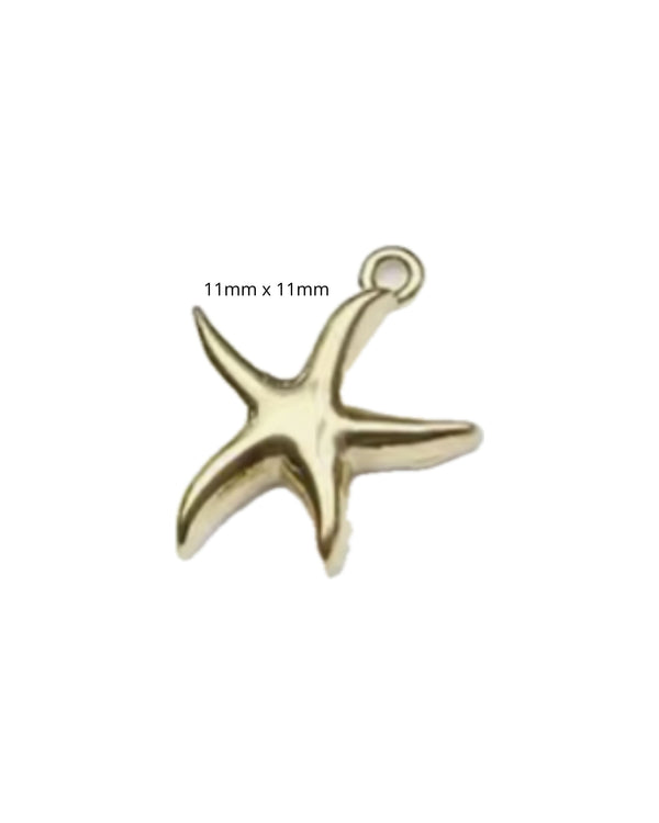 Mini Etoile de Mer
