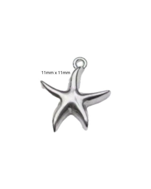 Mini Etoile de Mer