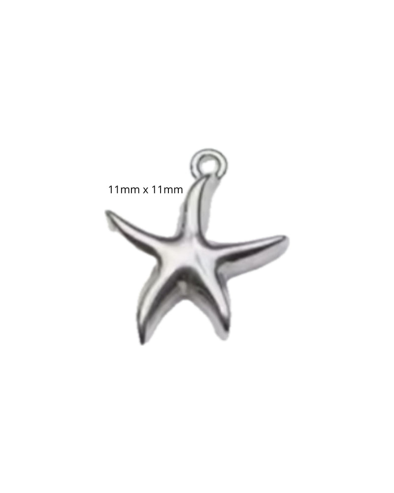 Mini Etoile de Mer