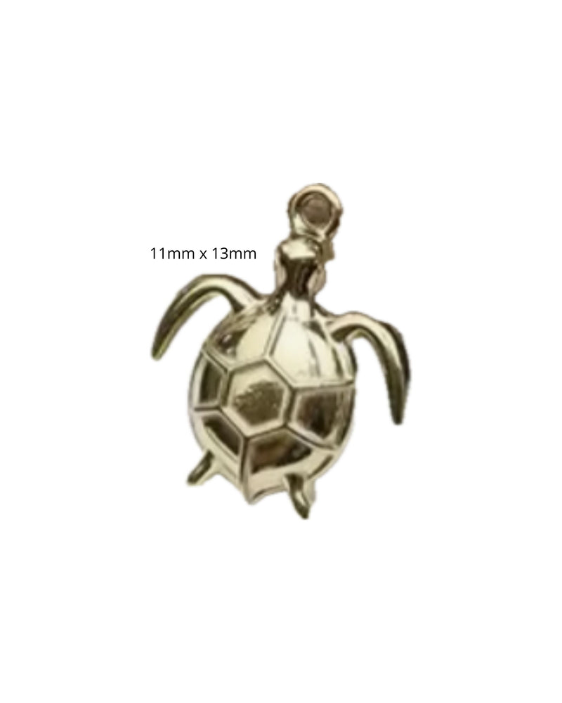 Mini Tortue
