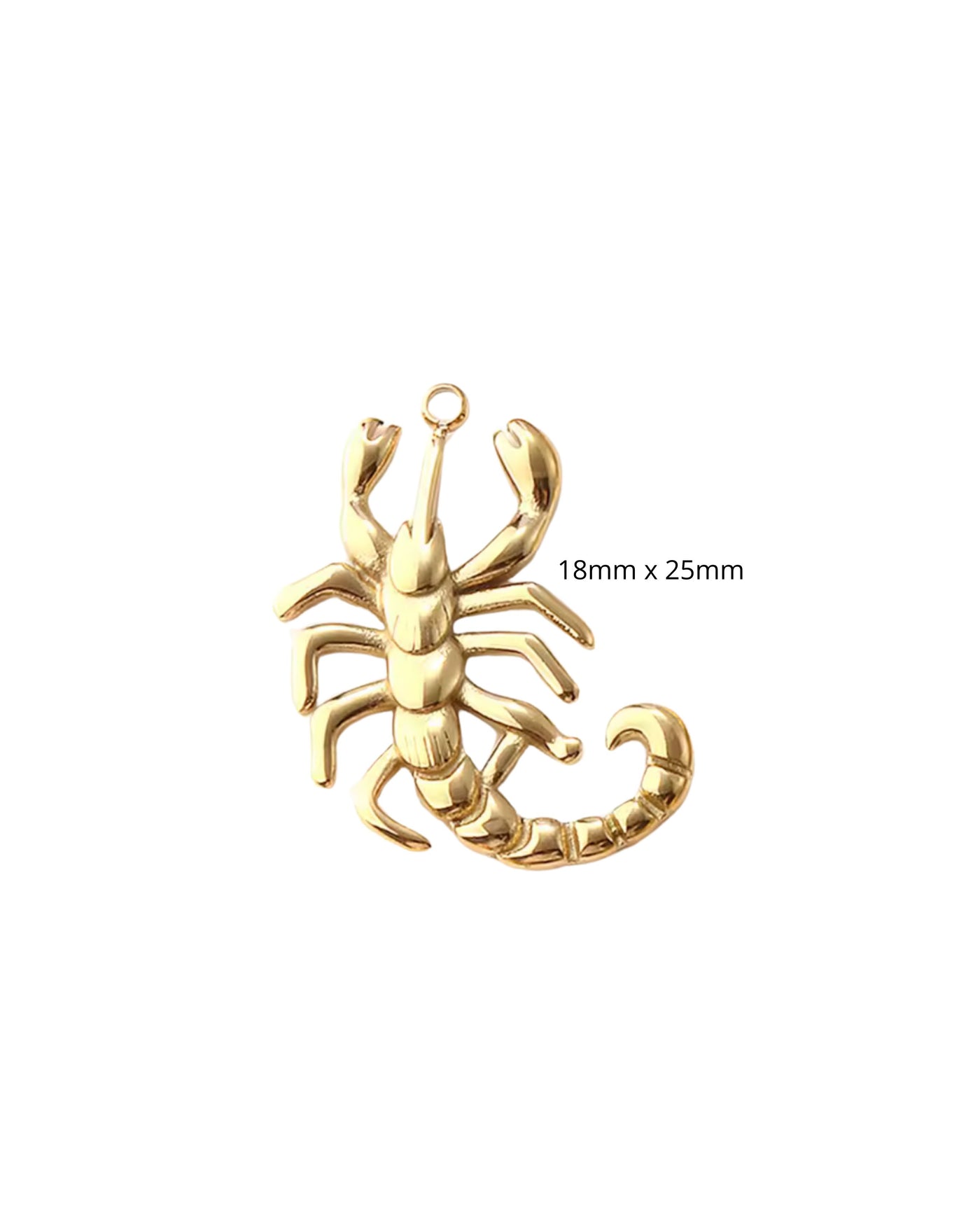 Scorpion