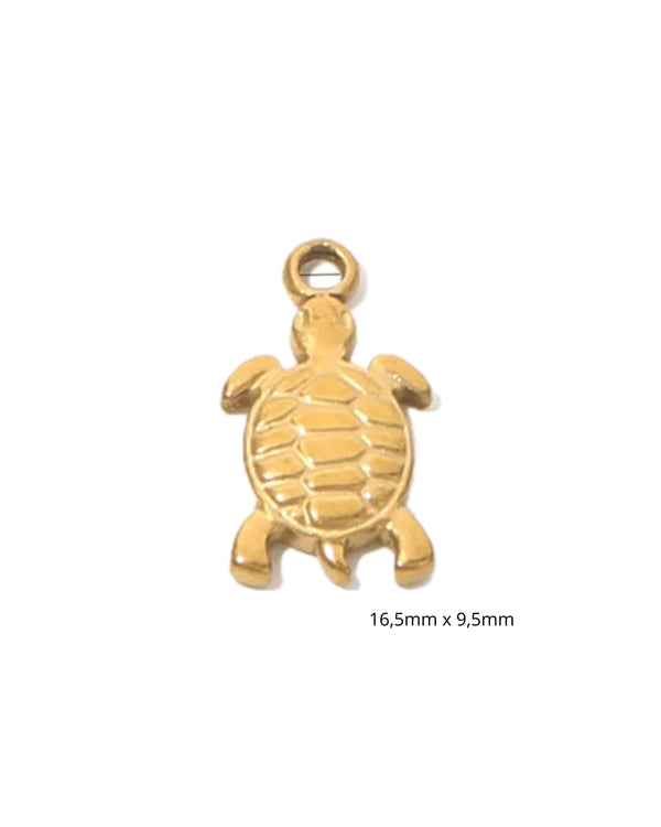 Tortue de mer