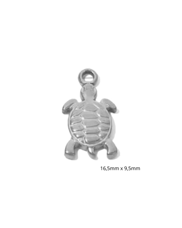 Tortue de mer